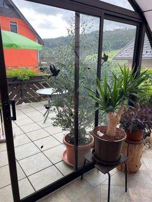 Wintergarten Blick auf die Terrasse