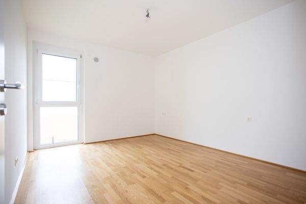 Zimmer_1