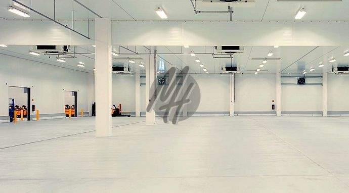 INFOS UNTER: 06171-586000