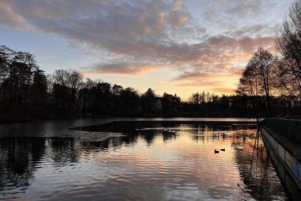 Schlachtensee - See in der Umgebung