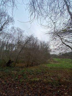 der Übergang zum Grünland.jpg