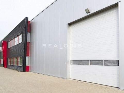 Nürnberg Halle, Nürnberg Hallenfläche