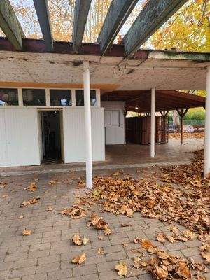 20251028_150420 (1) (1).jpg