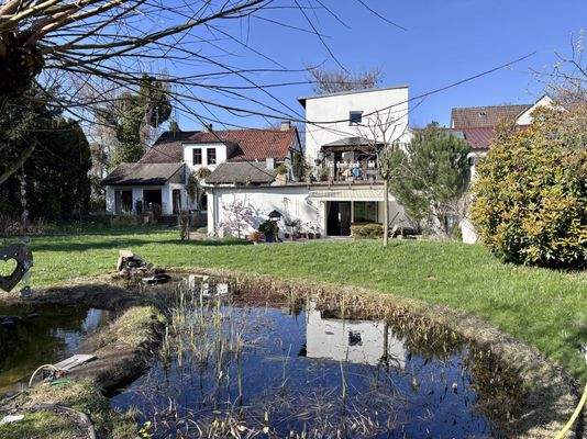 Blick aus dem hinteren Garten