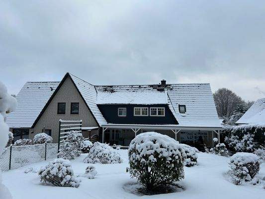 Garten im Schnee.JPG