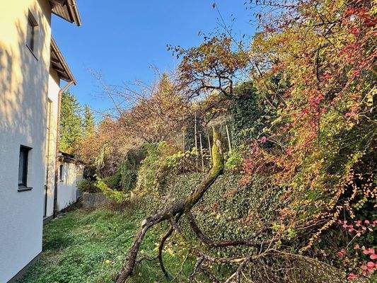 Hang für z.B. Obstbäume