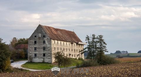 Niedergrünbach Wohnungen, Niedergrünbach Wohnung mieten