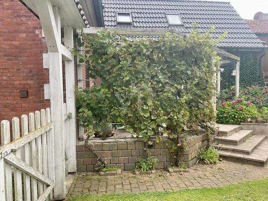 Aufgang Terrasse1-adb0-8f183a0b46ab_original