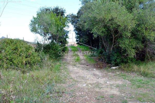 Zugang zum Grundstück