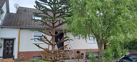 Schieder-Schwalenberg Häuser, Schieder-Schwalenberg Haus kaufen