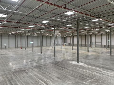 Köln Halle, Köln Hallenfläche