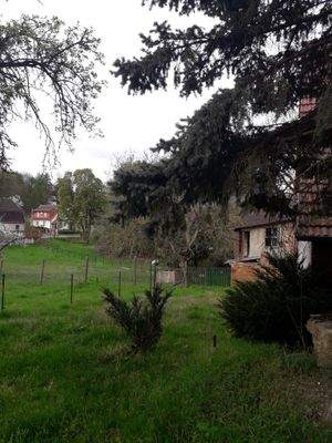 Großzügiges Objekt