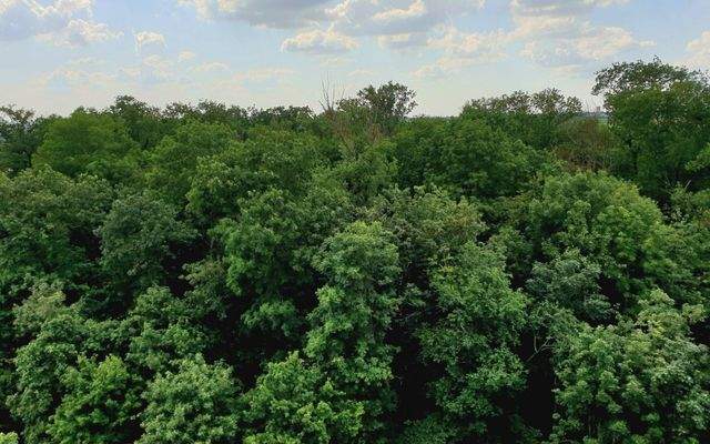 Wohnung mieten Stuttgart Wohnen auf Zeit urbanbnb 6.jpeg