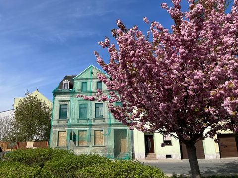 Meerane Häuser, Meerane Haus kaufen