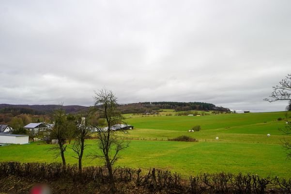 Freier Ausblick