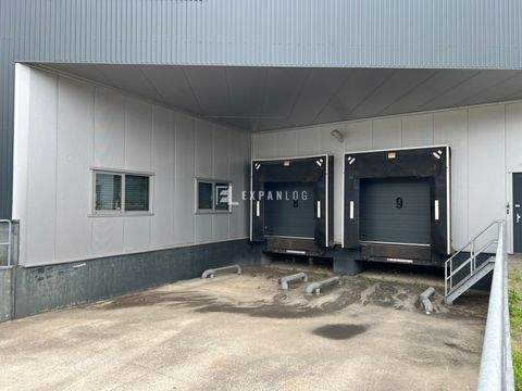 Remscheid Halle, Remscheid Hallenfläche