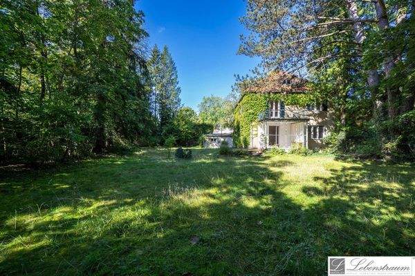 Grundstueck mit Altbestand - Südost