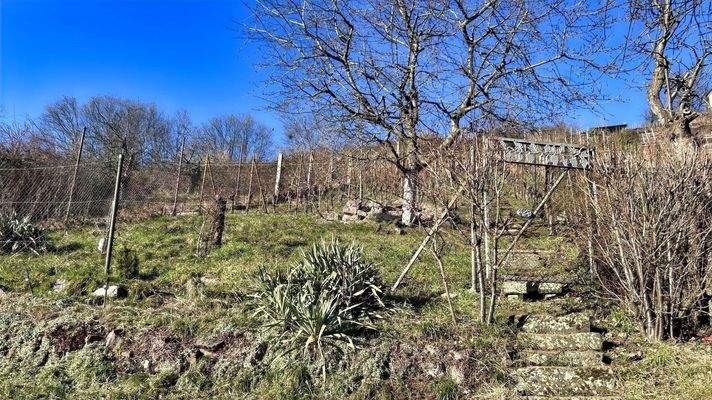 Teil des Grundstücks