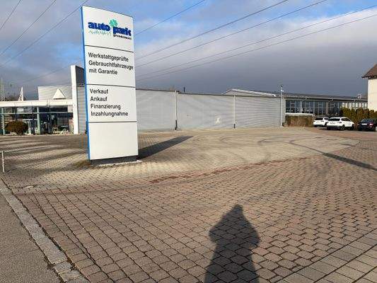 WhatsApp Image 2026-01-31 at 16.04.30 (1).jpeg