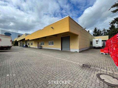 Karlsruhe Halle, Karlsruhe Hallenfläche