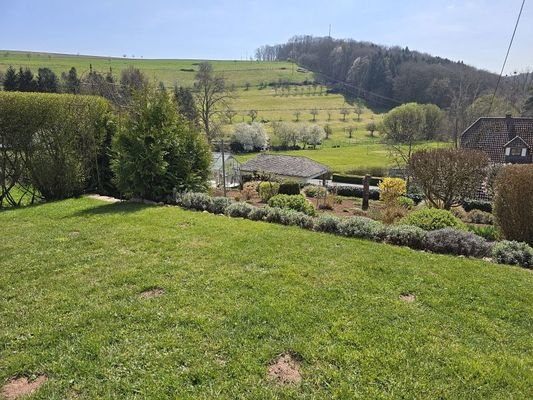Grünfläche mit Ausblick 1