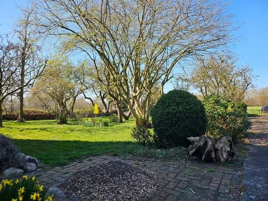 9 - Blick in den Garten