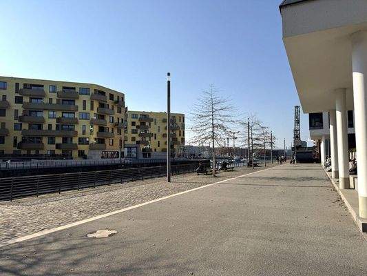 Spaziergänge in der Abendsonne