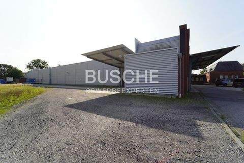 Emsdetten Halle, Emsdetten Hallenfläche