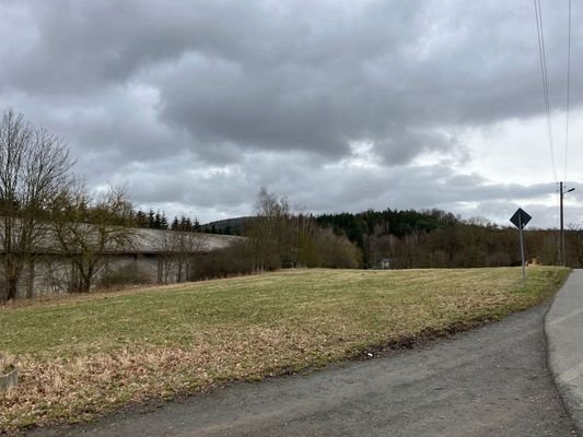Außenansicht / Wiesenfläche