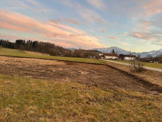 Baubeginn erfolgt - Bergblick