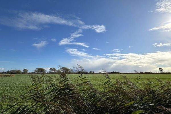 Weitblick nach Süd-Ost