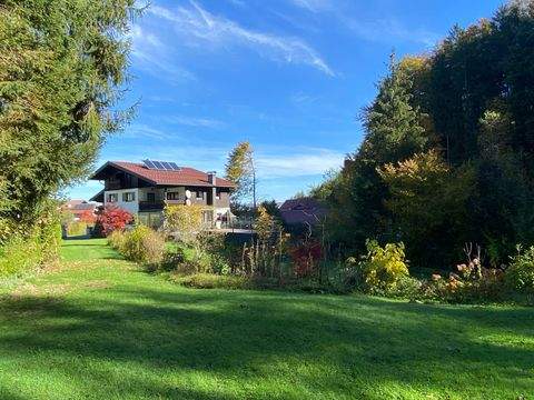 Seeham Häuser, Seeham Haus kaufen