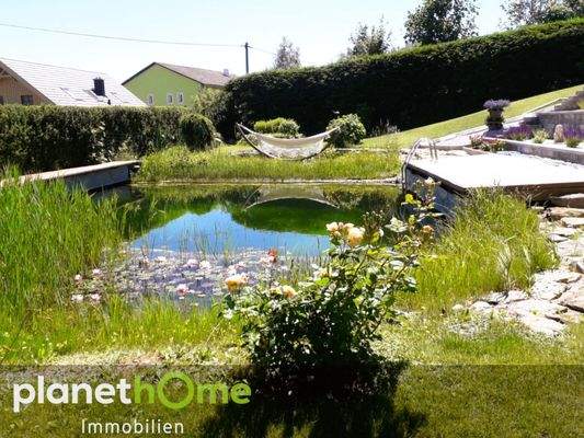 Schwimmteich und Liegezone II