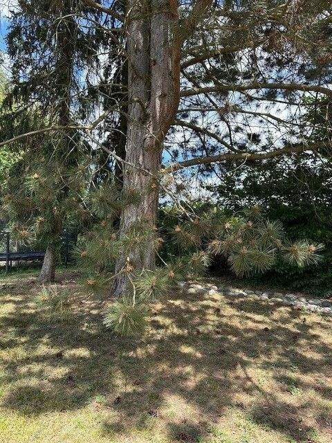 Oberasbach Grundstücke, Oberasbach Grundstück kaufen