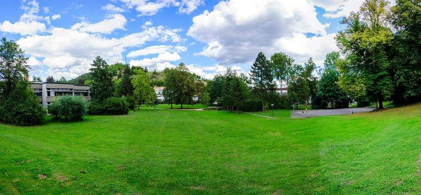 Aussicht Balkon zum Park mit Grünfläche