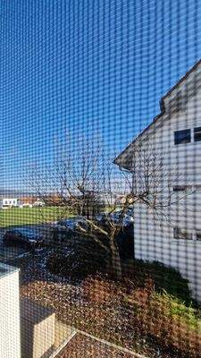 Fliegengitter vor den Fenster