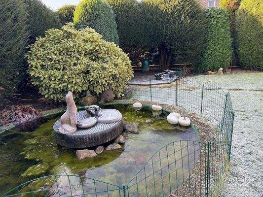 Gartenteich im Winter