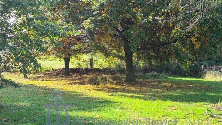 Foto 4_unteres Wiesengelände.JPG