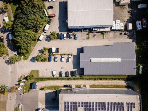 Wang Halle, Wang Hallenfläche