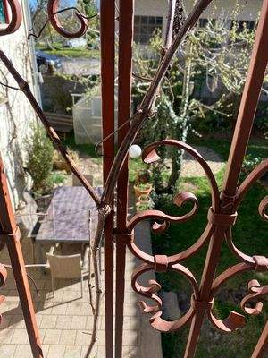 Ausblick Schlafzimmer II