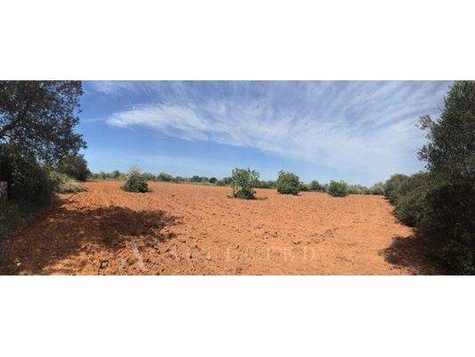 Rustic plot for urban development_01