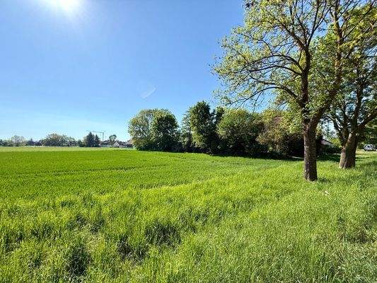 Wohnen an den Grünen Feldern von Harting