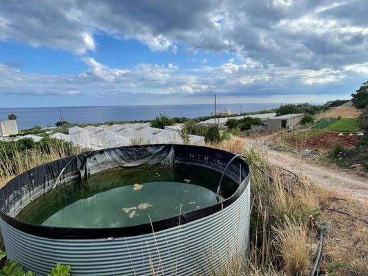 Kreta, Mavros Kolimpos: Grundstück mit Meerblick zu verkaufen