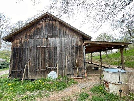 Die Halle mit Offenstall