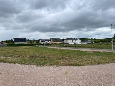 Hillesheim Grundstücke, Hillesheim Grundstück kaufen