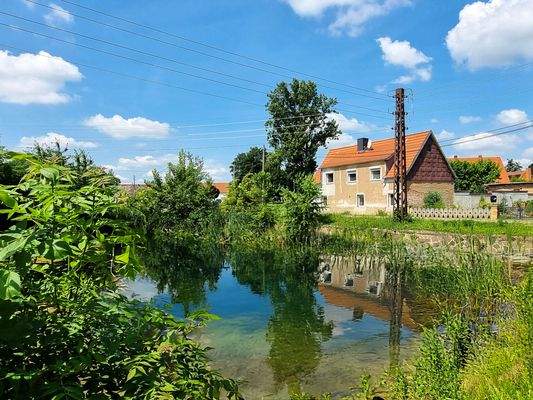 Firefly 20250617160258