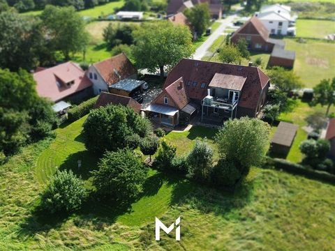 Steimbke Häuser, Steimbke Haus kaufen