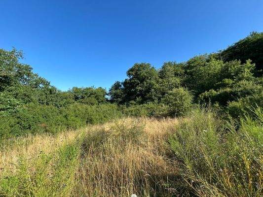 Grundstück Ansicht 1