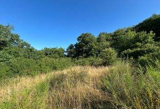 Grundstück Ansicht 1