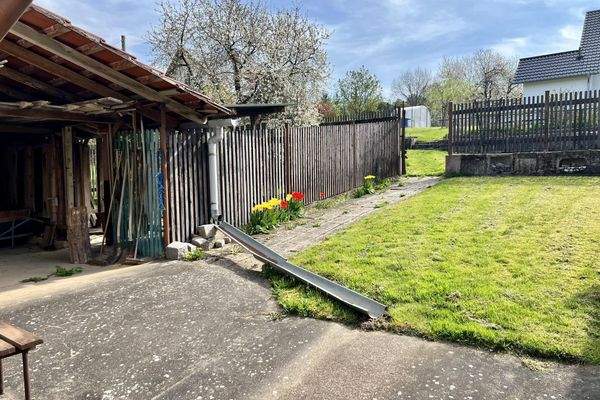 Garten, Blick nach oben